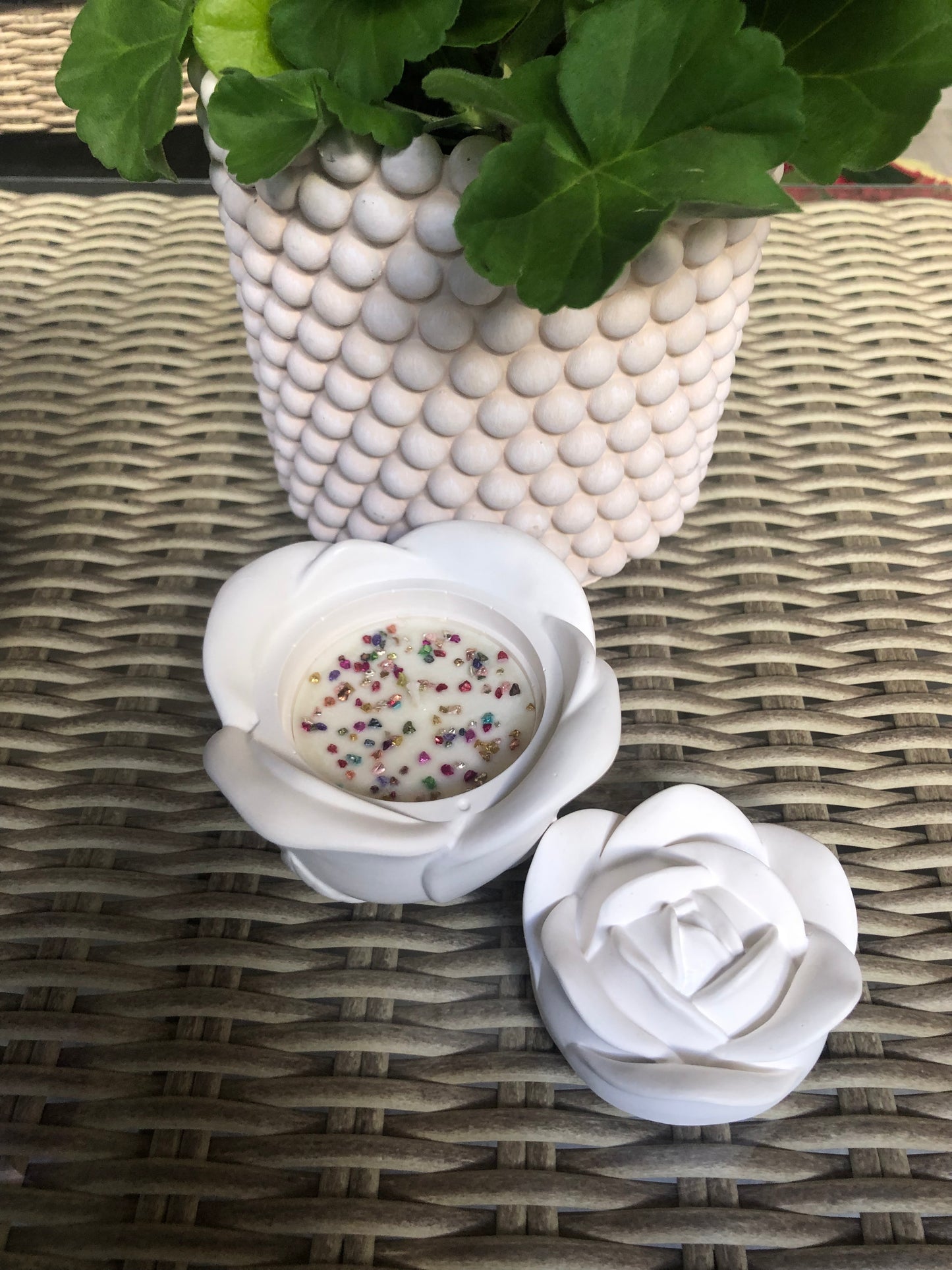 Vela Rosa